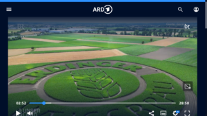 Field Ads im Fernsehen