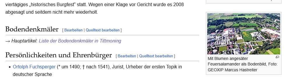 Screenprint Wikipedia: Mit Blumen angesäter Feuersalamander als Bodenbild