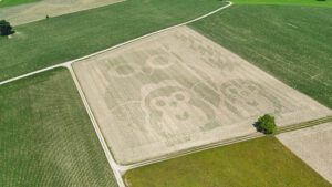 Eine Eulenmutter mit Küken als riesiges Bodenbild (Geoglyphe) auf einem Feld in Bayern