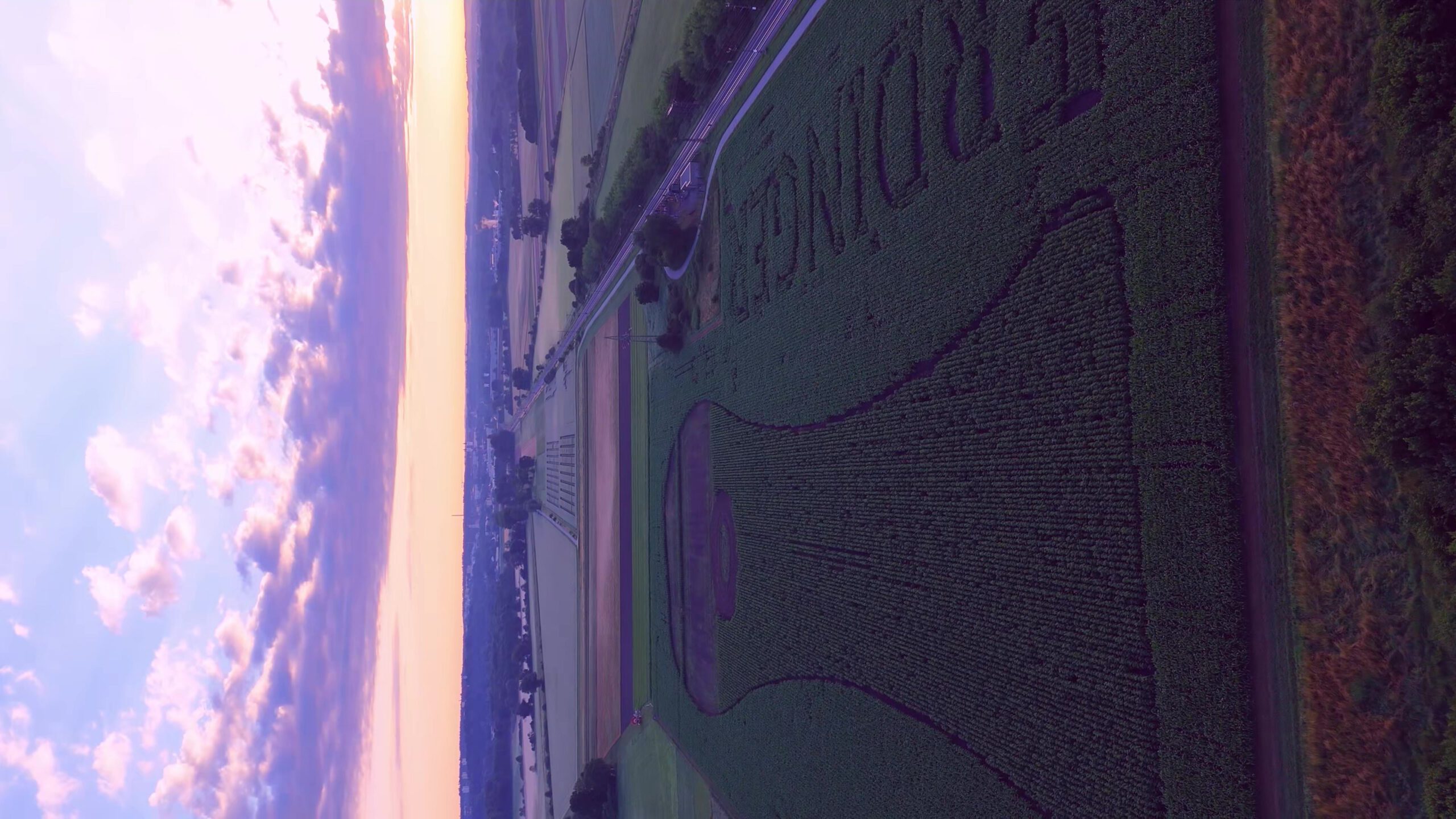 Feldwerbung Weißbierglas mit Bluemen am Feld als Bodenbild
