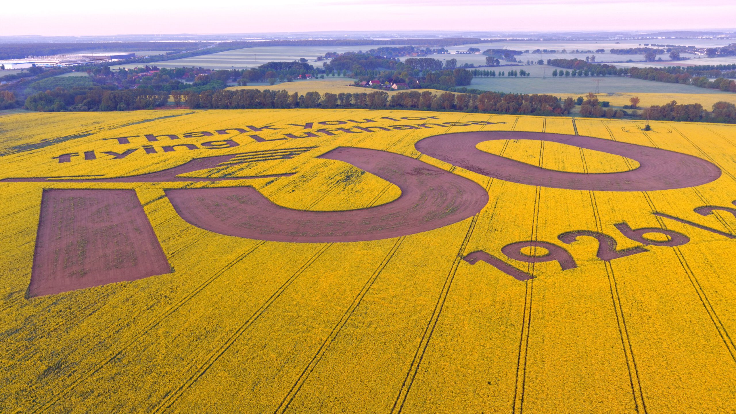 Lufthansa Geobranding am BER Airport – Nature as a Display von GEOXIP Lufthansa Geobranding am BER Airport Berlin Brandenburg von GEOXIP – großflächige Feldwerbung mit Raps, Wildblumen, Biodiversität und nachhaltiger OOH-Werbung