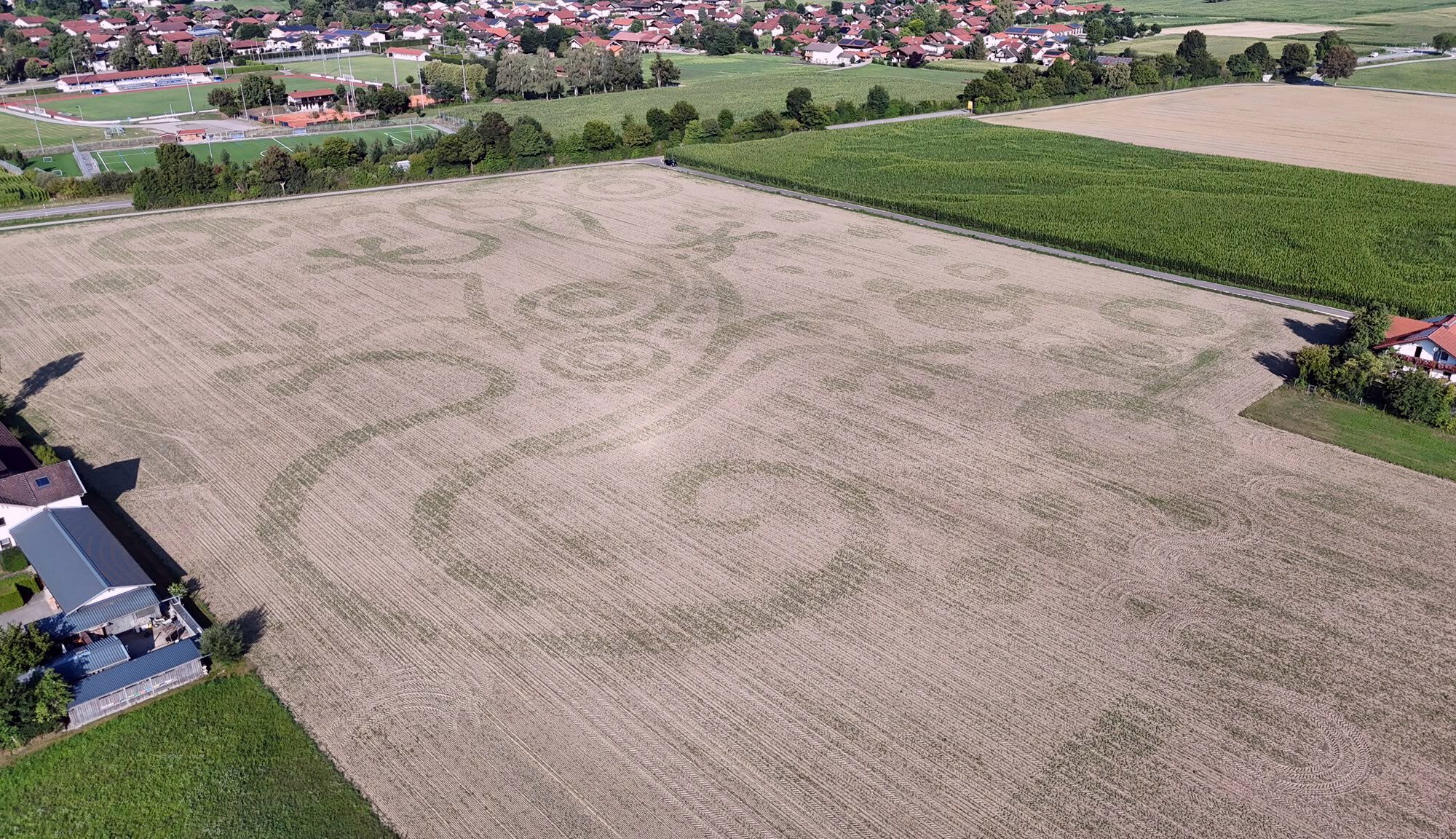 Monumentales Naturkunstwerk aus lebenden Pflanzen – Luftaufnahme eines Mystery Things auf einem deutschen Acker