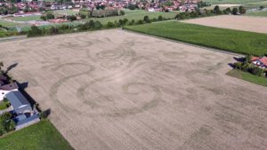 Monumentales Naturkunstwerk aus lebenden Pflanzen – Luftaufnahme eines Mystery Things auf einem deutschen Acker