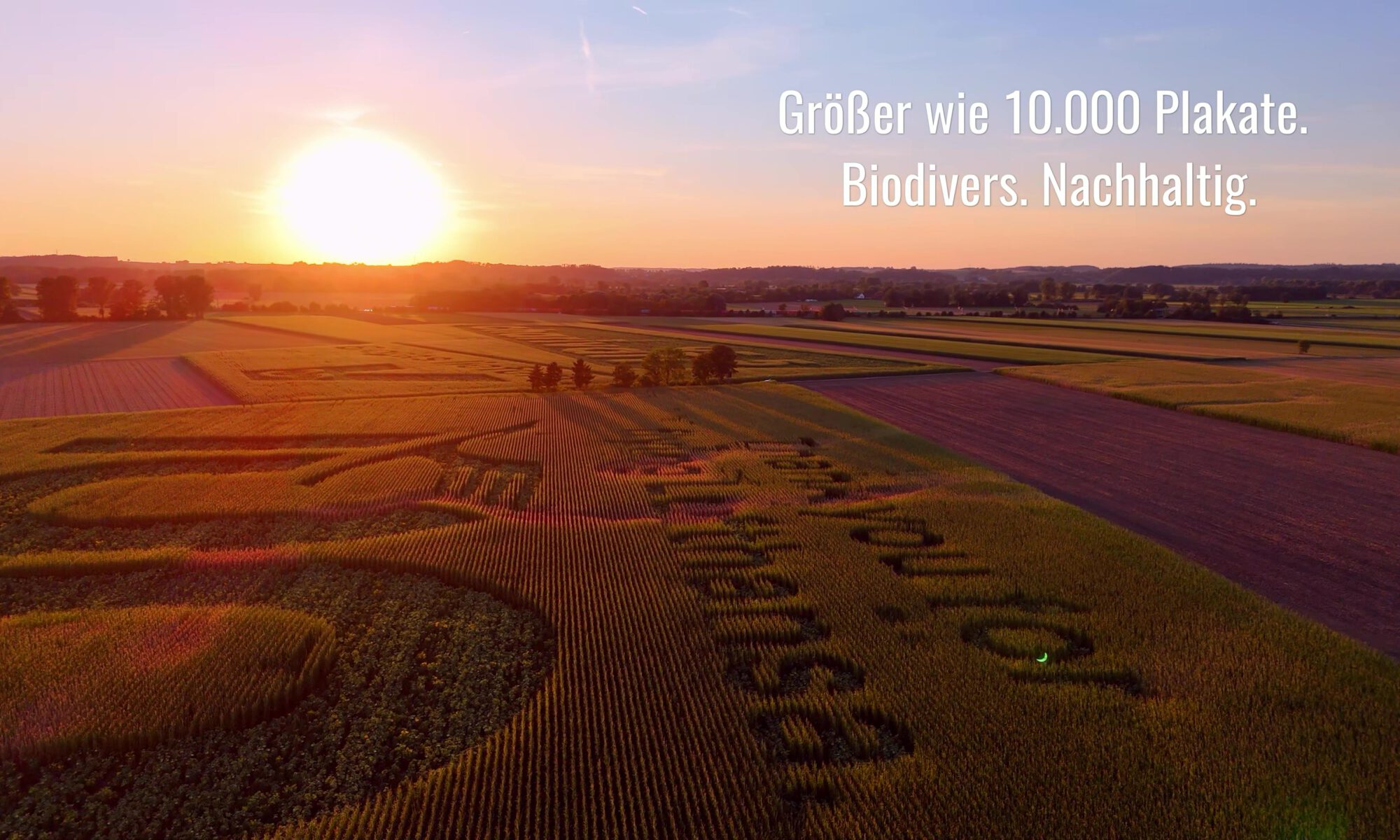 Geobranding am Flughafen München bei Sonnenuntergang – nachhaltige Feldwerbung von GEOXIP