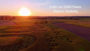 Geobranding am Flughafen München bei Sonnenuntergang – nachhaltige Feldwerbung von GEOXIP