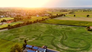 Luftbild Eidechse und Sternzeichen am Feld - Mystery Things by GEOXIP am 10.08.2026