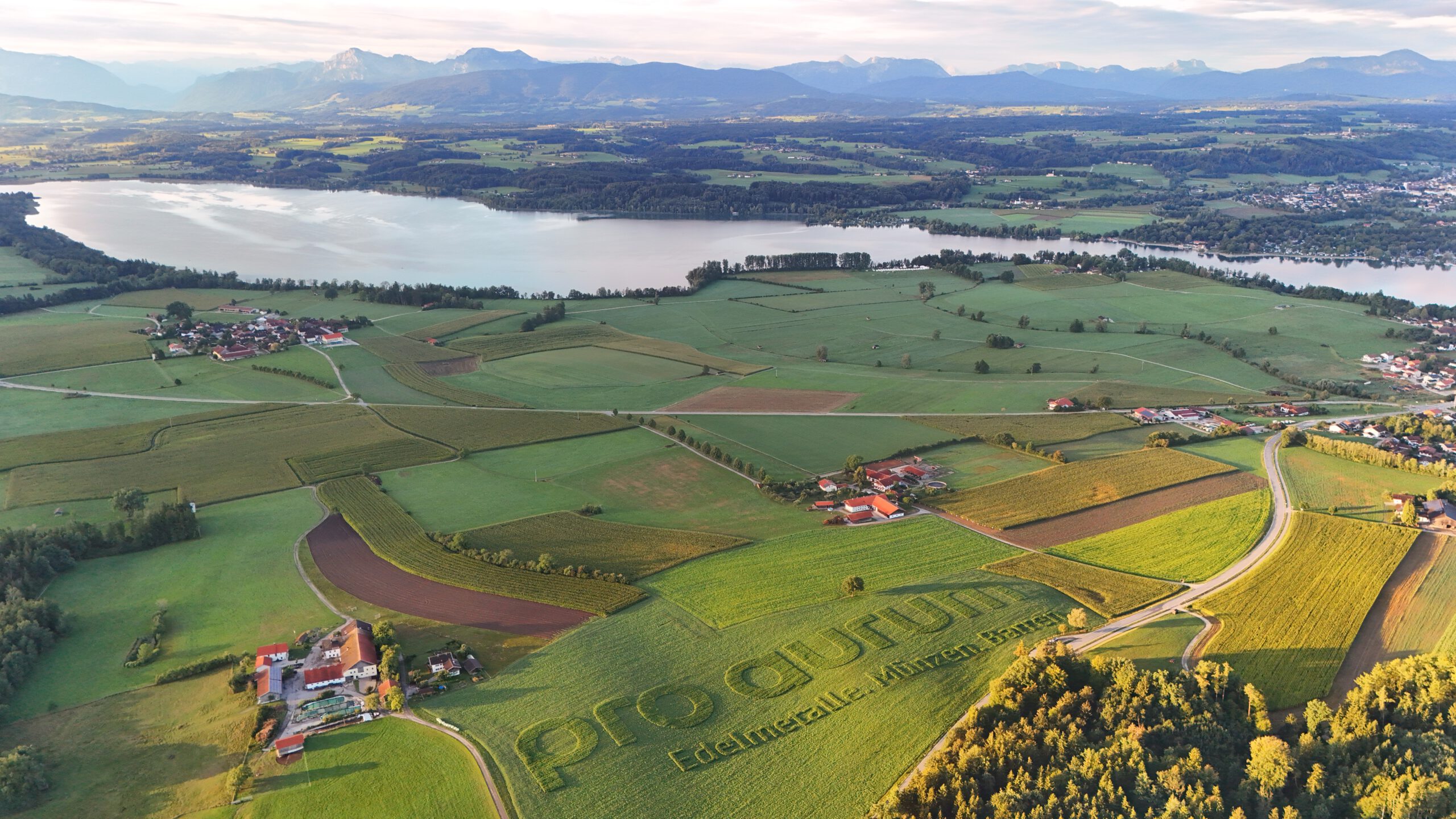 pro aurum Geobranding als großflächige Ackerwerbung von GEOXIP vor Alpenkulisse